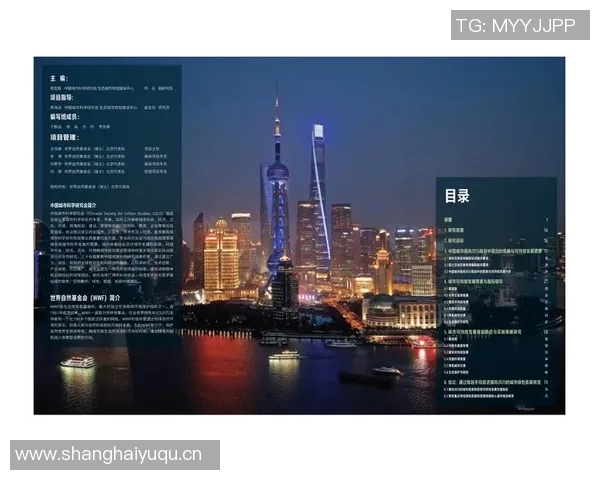 武汉排球队的运营模式与发展策略深度解析