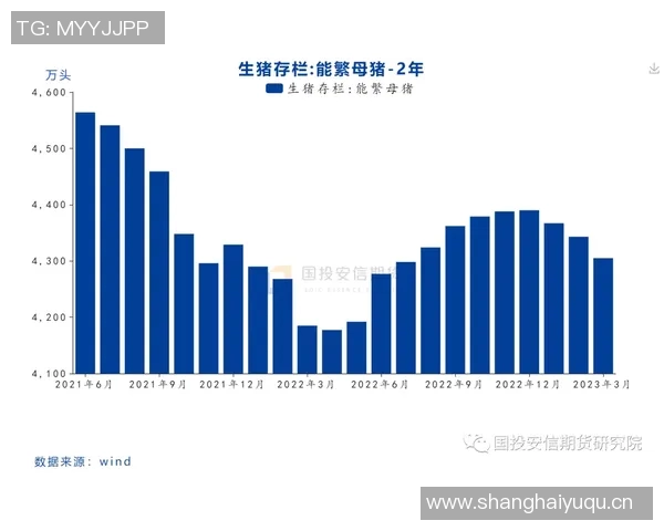 亚洲杯历史回顾与展望:从创办至今的精彩瞬间与未来发展趋势 亚洲杯历史回顾与展望:从创办至今的精彩瞬间与未来发展趋势