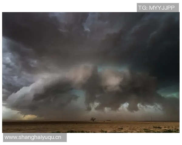 全球气候变化加剧 各国紧急应对行动引发热议 全球气候变化加剧 各国紧急应对行动引发热议